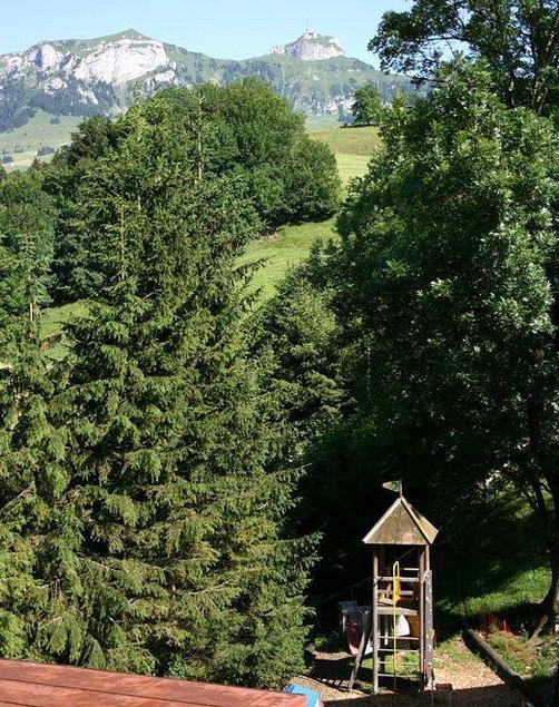 Hotel Restaurant Belvedere - Weissbad