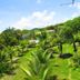Ilheus North Hotel in Itacaré surrounded by lush tropical gardens and palm trees under a blue sky