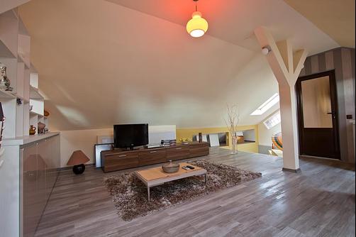 Cluj Napoca Apartments - Cluj Napoca - Living room