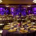 Hilton Woodland Hills/Los Angeles banquet hall with gold tables, palm decor, and purple lighting