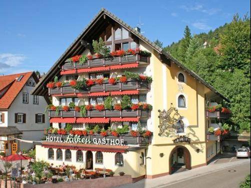 Hotel Restaurant Falken - Baiersbronn