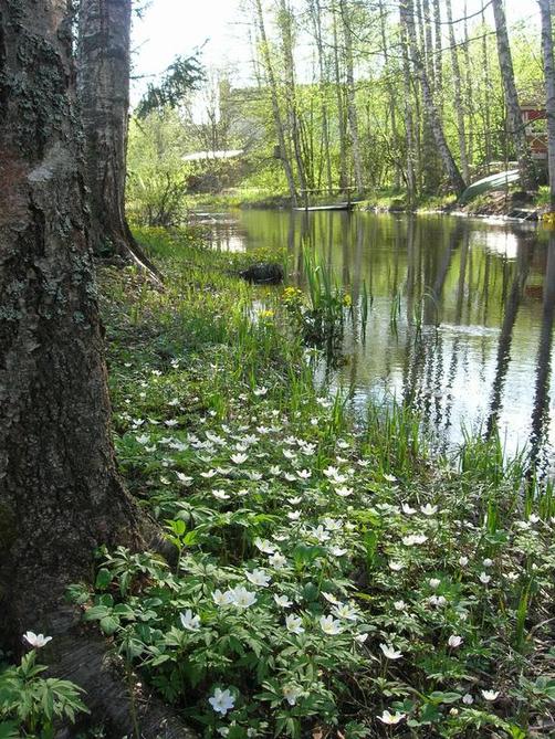 Portaan Nahkurinverstas - Tammela