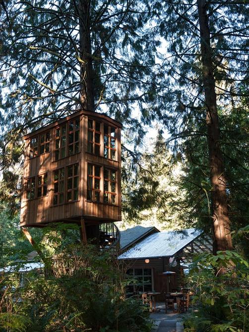 TreeHouse Point - Issaquah