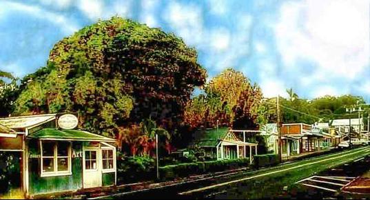 Hale Ho‘okipa - Makawao