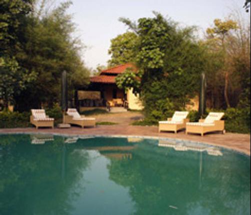 Infinity Bandhavgarh Wilderness - Tala
