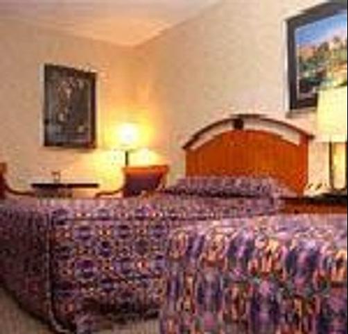 The Vegas Motel - Minot - Minot