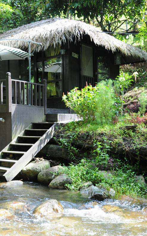 Tanah Aina Farrah Soraya Eco Tourism Resort - Raub