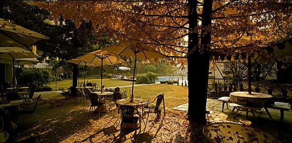 Hotel Broadway - Srinagar