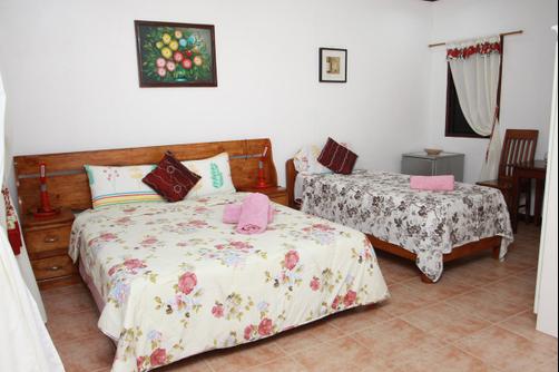 Bonita Oasis Beach Resort - Moalboal