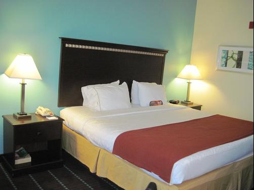 Best Western PLUS Sanford Airport/Lake Mary Hotel - Sanford - King bedroom