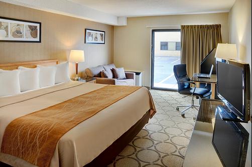 Comfort Inn - Hamilton - King bedroom