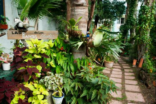 Apartamentos Adjovimar - Los Llanos de Aridane - Outdoors view