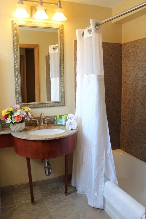 Radisson Hotel Providence Airport - Warwick - Bathroom