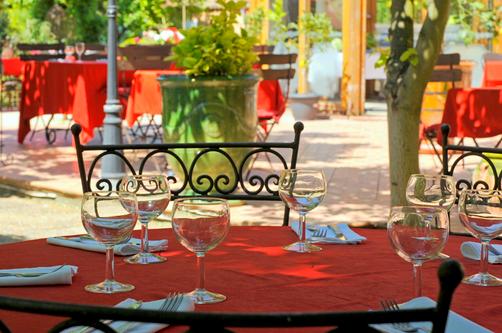 Hostellerie du Moulin de la Roque - Althen-des-Paluds - Restaurant