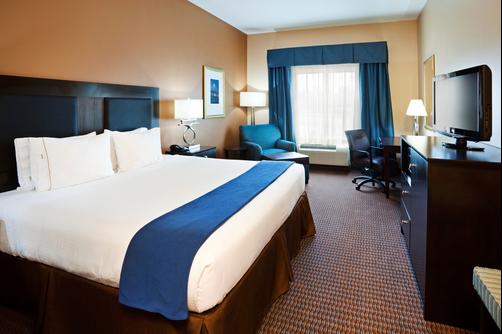 Holiday Inn Express Hotel & Suites Mount Pleasant - Charleston - Mount Pleasant - King bedroom