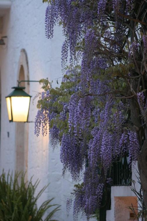 Il Frantoio - Ostuni