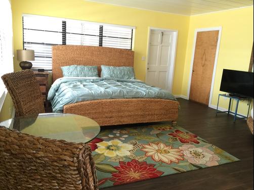 Snug Harbor Inn - Madeira Beach - Bedroom