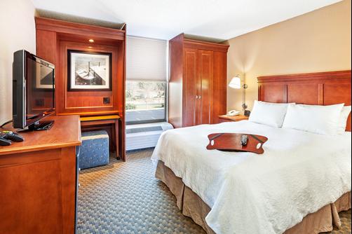 Hampton Inn Hendersonville - Hendersonville - Bedroom