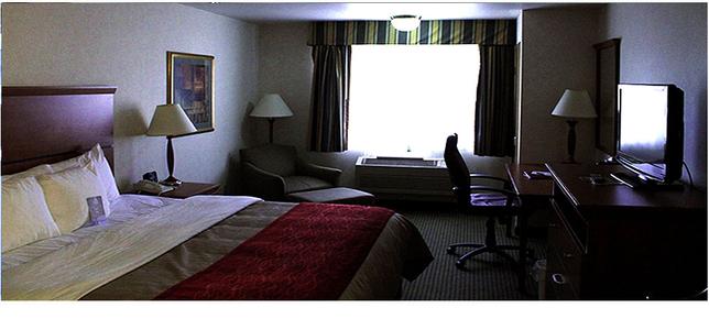 Comfort Inn - Pierre - Bedroom