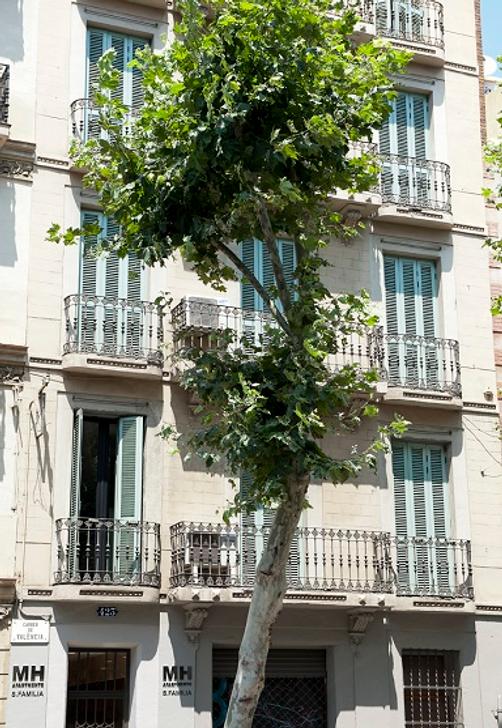 MH Apartments S. Familia - Barcelona - Building