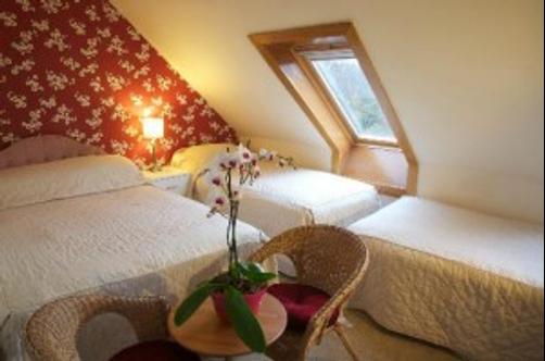 MacIntosh Guest House - Edinburgh - Bedroom