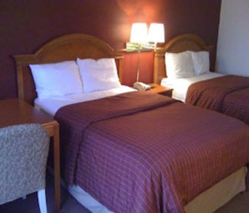 Country Hearth Inn and Suites - Gainesville - Gainesville - Bed