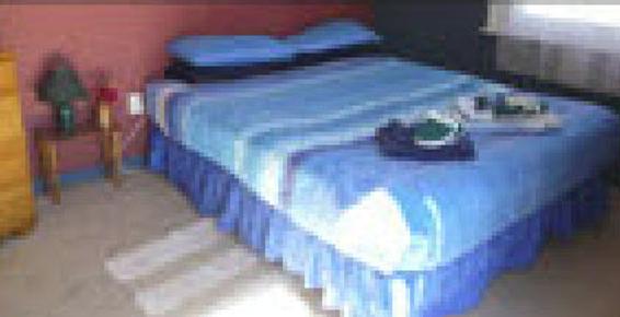 Bon Accord Backpackers - Akaroa - Bed