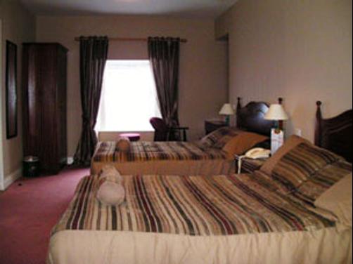 Damer Court Hotel - Roscrea - Bedroom