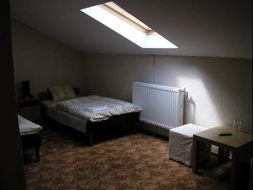 Zielony Gościniec - Sarnów - Bedroom