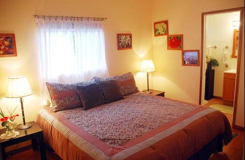 Hale Moana Bed & Breakfast - Pahoa - Bedroom