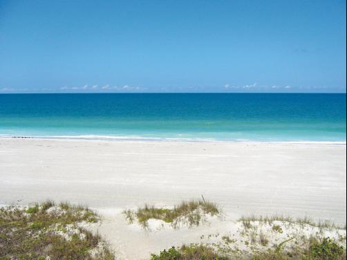 Belleair Beach Club - Belleair Beach
