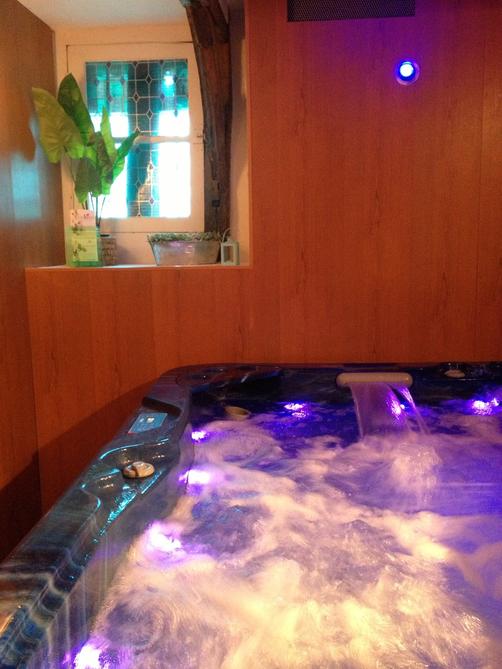 La Villa Saint Pierre Chambres d'Hôtes - Chartres - Spa