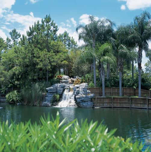 Polynesian Isles Resort - Kissimmee - Pool