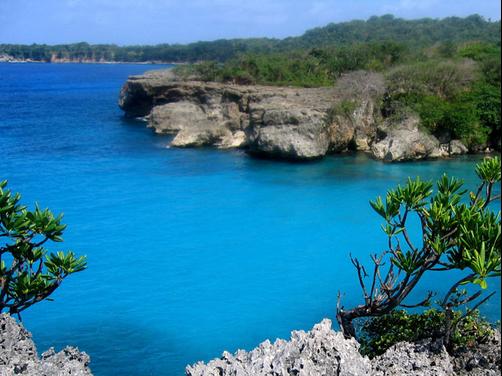 Great Huts - Port Antonio - Outdoors view