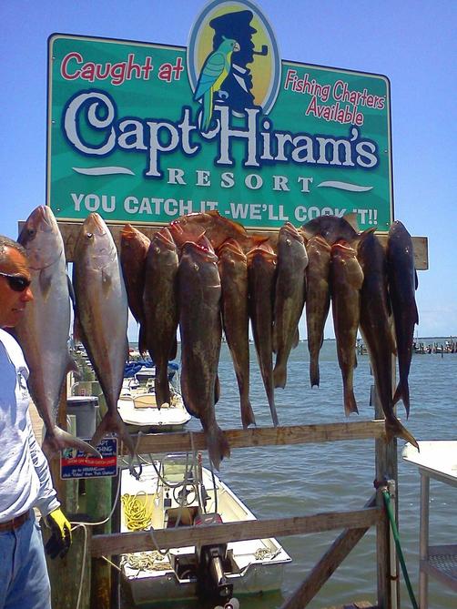 Capt Hiram's Resort - Sebastian - Attractions