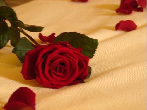 Schlosshotel Klaffenbach - Chemnitz - Double room