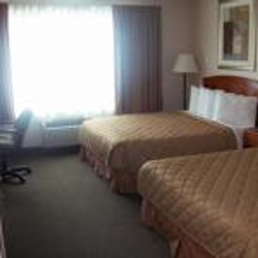 Days Inn & Suites Bozeman - Bozeman - Double room