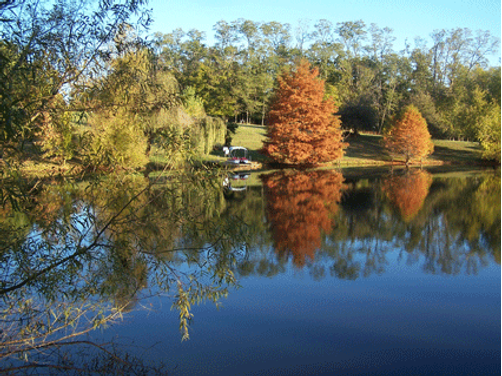Hidden Lake Bed and Breakfast - Jonesboro