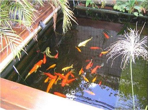 Dekel Guesthouse - Ramat Gan - Patio