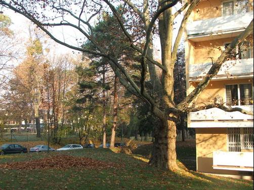 Apartment24 Schoenbrunn - Vienna - Building