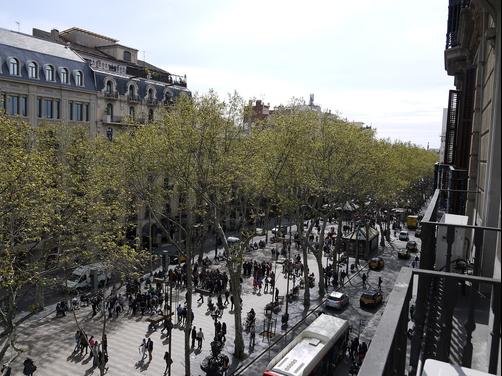 Medium Monegal - Barcelona