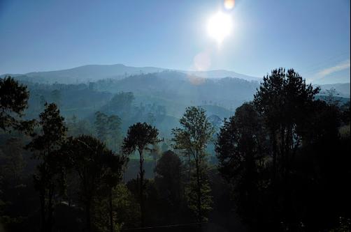 Langdale by Amaya - Nuwara Eliya - Outdoors view