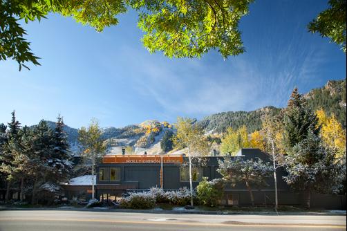 Molly Gibson Lodge - Aspen