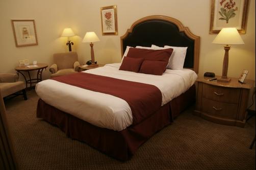 LivINN Hotel Minneapolis South / Burnsville - Burnsville - Bedroom