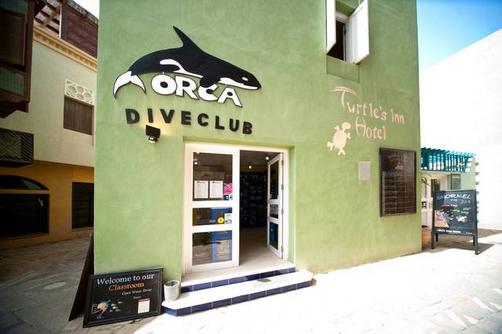 Turtle's Inn - El Gouna - Attractions