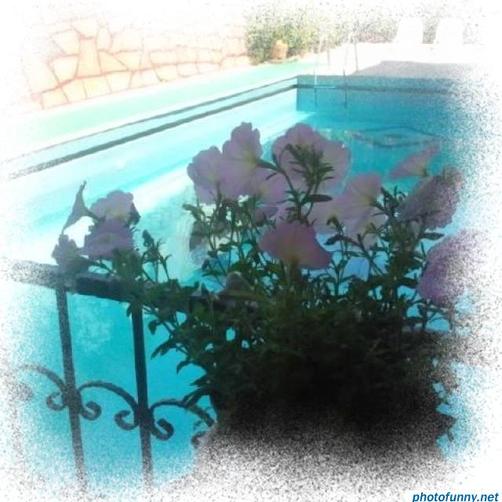 Sezgin's Pension - Kusadasi