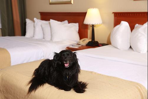 Rocky Mountain Park Inn - Estes Park