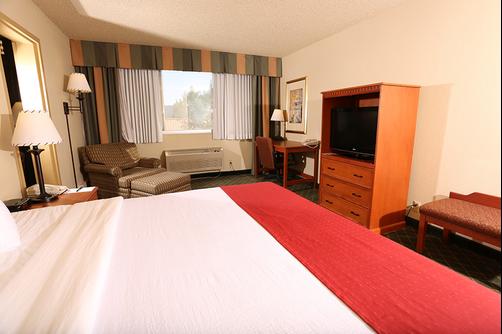 Rocky Mountain Park Inn - Estes Park - King bedroom