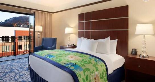 Hilton Asheville Biltmore Park - Asheville