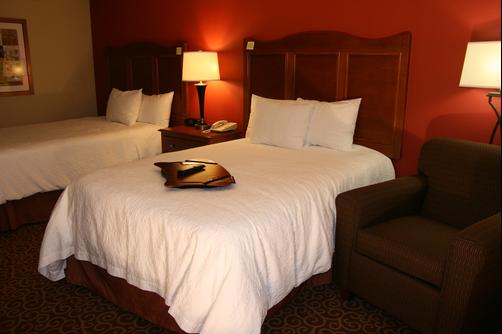 Hampton Inn Chicago-Carol Stream - Carol Stream - Double room